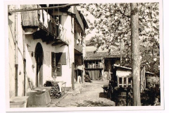 1950, Ricordi di Eugenia Maiga.  Allora, la zona era, diciamo, non essendoci delle auto, era solo zona pedonale; perché davanti alle case, le case son solo su un lato, sull'altro lato, essendo un po' rialzato il livello delle case, c'era una strada abbastanza larga ma era utilizzata sia per... come giardino, sia anche come, come pollai, cioè per quello che è la situazione di allora, cioè per il piccolo contadino, o comunque per la legna, per i bisogni di allora, ecco. E quindi, davanti alla casa c'era tutto un pergolato con dei tavoli e delle anche in sasso, con il prato, il praticello, dopo c'erano tre o quattro pollai tutti in fila; c'era il, adesso non so come si chiama, il buco per il letame; il letame per le stalle e poi le cataste di legno, poi c'era, in fondo alla strada, dove c'era un gran... adesso è una piazza di giro per le auto, ma allora no, e c'era un grande tiglio, che faceva ombra, che poi è stato tagliato, quando poi il comune ha deciso che la zona era comunale, ha fatto disfare tutto, pollai, tavoli e tutto, e ha asfaltato. Quindi, adesso c'è l'asfalto, ci son le auto, parcheggiate, e tutto finito lì.