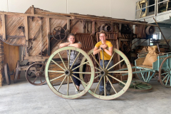 2025 IL FRUMENTO - OGGI , ALLORA di Giovanni Mombelli (1979) Giunse in paese la grande trebbiatrice, alta, tutta ruote grandi e piccole con cinghie di trasmissione. Dietro, in alto, il motore grondante d'olio. Trascinata da due buoi, barcollante, veniva collocata sulla strada di fianco alla casa del contadino o nella sua corte, provocando polvere e disagio dappertutto. Il Municipio emise allora un'ordinanza che fissava due soli luoghi per la trebbiatura: uno a Stabio e l'altro a S. Pietro. Di buon mattino giungevano sul posto carri stracarichi. Cominciava il lavoro che si prolungava fino a sera, con una breve sosta a mezzogiorno. Il contadino. sul carro, con la forca porgeva il covone all'uomo della trebbiatrice, questi con un falcetto tagliava il legaccio e l'introduceva negli ingranaggi. Dietro usciva la paglia, sotto la pula e di fianco i chicchi che cadevano in una misura a forma di tronco di piramide con due maniglie per facilitare il versamento nei sacchi. La paglia caricavo subito sul carro e la pula nella gerla. Un lavoro affrettato da togliere il respiro nei pomeriggi di sole, tra il polverone e il rumore del motore, delle cinghie e dei crivelli. Per fortuna alla trebbiatrice venne poi aggiunta l'imballatrice che dimezzò il lavoro. La vecchia macchina ora riposa abbandonata sotto una tettoia. Verrà demolita o troverà posto nel museo dell’agricoltura? P.S. Adesso si trova nel nuovo magazzino del museo….