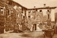 Anni 50 Casa agricola