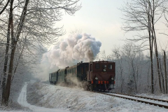 Anni 2000 Trenino Valmorea