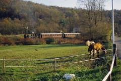 Anni 2000 Il Trenino a Vapore