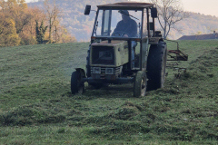 2024 Il Fieno, Renato Conconi