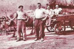 Anni 40