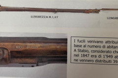 1850, Il Fucile comunale Vetterli