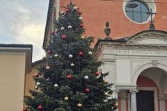 03.12.2024 Addobbi Terminati