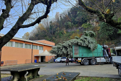 29.11.2024 Il Trasporto