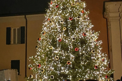 8.12.2024 Albero Acceso