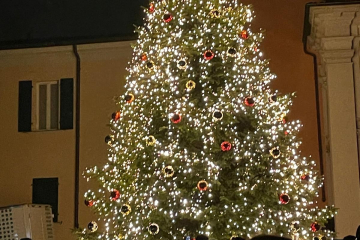 8.12.2024 Albero Acceso