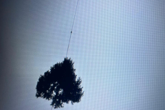 24.11.2025 Arriva l'Albero