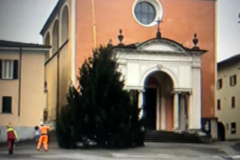 24.11.2025 l'Albero è posato e pronto per gli addobbi
