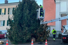 25.11.2025 Gli addobbi