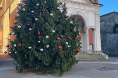 26.11.2025 Addobbi terminati