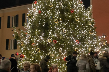 8.12.2025 L' Albero è acceso