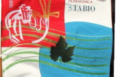 09.06.2018 Il Nuovo Vessillo