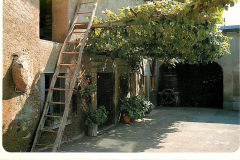 Anni 70 Corte Mario Ferrari