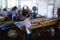 Anni 70 La Rapelli