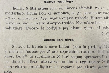 La ricetta della Gazosa. Ghè pü i gazusatt a Stabiu? Recuperiamo allora un prodotto della nostra tradizione locale per dare risalto a chi lo faceva ai tempi: Arnoldo Gerosa dal 1927 e Attilio Perucchi dal 1937, due stabiesi che si erano trasformati in produttori di gazosa. Ecco alcune ricette per produrre gazose…