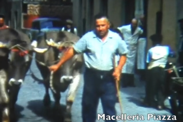 Anni 60 La Macelleria Piazza