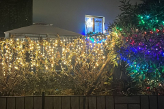 03.12.2024, Alexandra Natale