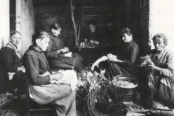 1920, La sbozzolatura dei gelsi. A Stabio la bachicoltura, fino agli anni 20,  era un'attività economica molto importante per tante famiglie. Questo tipo di allevamento richiedeva un grande lavoro sia per la raccolta delle foglie di gelso che per il nutrimento e la pulizia dei bachi, lavoro in cui erano impegnate soprattutto le donne, ma anche bambini e anziani e che permetteva di realizzare un piccolo guadagno.  Un filanda fu fondata anche a Stabio nel 1903 e diede lavoro a un’ottantina di operaie fino alla sua chiusura nel 1932 a causa di malattie dei bachi e dei gelsi, della concorrenza asiatica e della nascita dei primi filati sintetici: alcune operaie trovarono poi un posto di lavoro nella camiceria Realini, ma la maggior parte, costituita da donne anziane e quindi nell’impossibilità di apprendere un altro