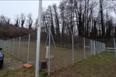  Anni 2000 Il Parco dei Cani