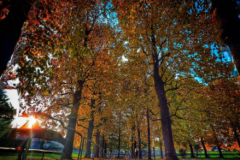 2025 Parco casa anziani