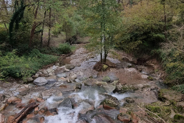 Anni 2000 Il Torrente Gaggiolo (Lanza)
