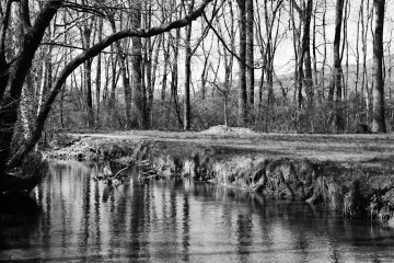 Anni 2000 Il Laveggio