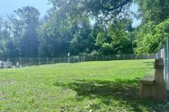 Anni 2000 Il Parco dei Cani