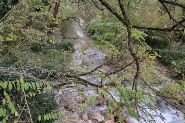 Anni 2000 Il Torrente Gaggiolo (Lanza)