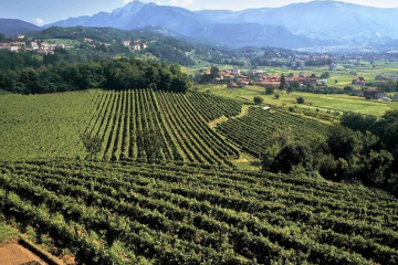 Anni 2000 La Tenuta Montalbano