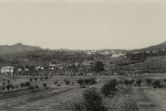 Anni 50