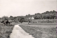 Anni 50-60 Via  Montalbano