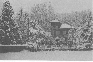 Anni 50 Via Giulia (Villa Olivari). La villa fu abitata dallo scultore Natale Albisetti e in seguito anche da Gaspare Olivari che lavorò per l’esercito francese costruendo strade e ferrovie. Gli ultimi ad abitarci furono gli Schick…e poi fu demolita.