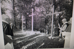 2019 Le Nuove 3 Crocette