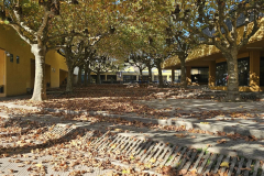 2025 Scuole Elementari (Autunno)