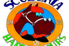 Circolo Equestre Happy Hours - Happyhours@bluewin.ch