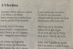 L'ulcelina