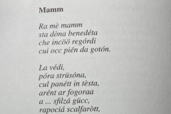 Mamm 