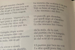 Ul Purtun dal Sist 2